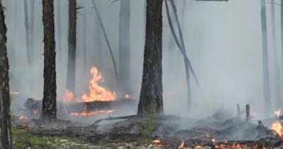 В Иркутской области справились со всеми лесными пожарами
