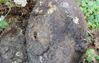 В Беловежской пуще обнаружили противотанковую мину времен Второй мировой войны