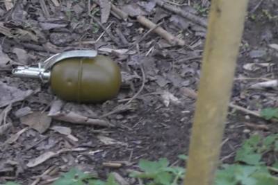 В Ярославле на территории школы нашли гранату