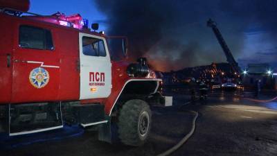 Крупный пожар в Подмосковье попал на видео