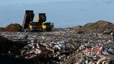 Немецкий инвестор заинтересовался мусорным проектом в Ленобласти
