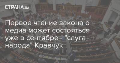 Евгения Кравчук - Первое чтение закона о медиа может состояться уже в сентябре - "слуга народа" Кравчук - strana.ua - Украина