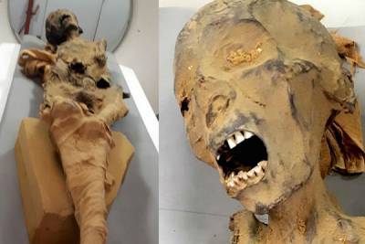 Египетские ученые раскрыли тайну смерти «кричащей мумии»