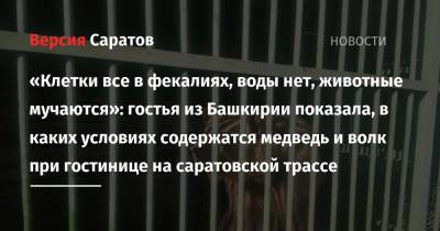 «Клетки все в фекалиях, воды нет, животные мучаются»: гостья из Башкирии показала, в каких условиях содержатся медведь и волк при гостинице на саратовской трассе