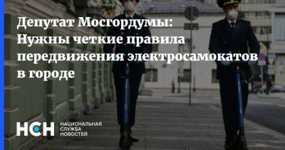 Депутат Мосгордумы: Нужны четкие правила передвижения электросамокатов в городе