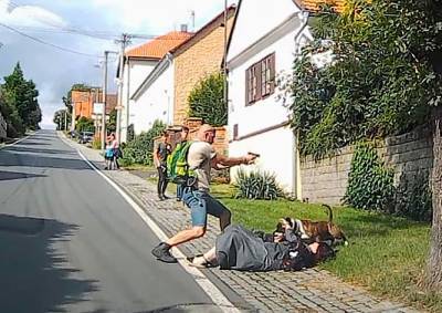 Житель Чехии выстрелом защитил мать от стаффорда: видео