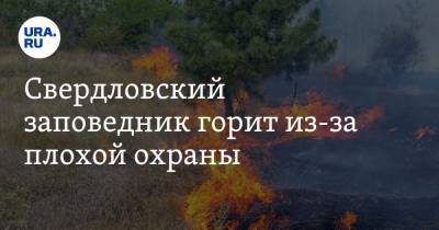 Свердловский заповедник горит из-за плохой охраны