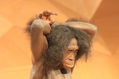 Ученые опровергли одну из гипотез о вымирании неандертальцев