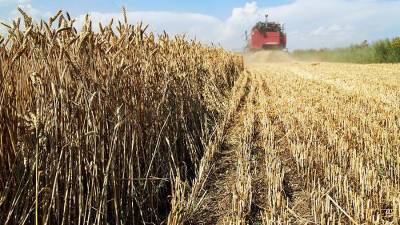 Краснодарский край первый в стране завершил сбор урожая