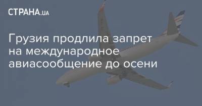 Грузия продлила запрет на международное авиасообщение до осени - strana.ua - Грузия - Франция - Париж - Тбилиси
