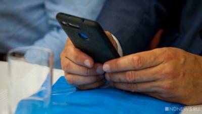 Власти Курганской области разрабатывают мобильное приложение для получателей соцвыплат