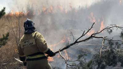 В Башкирии за сутки ликвидировано шесть очагов лесных пожаров