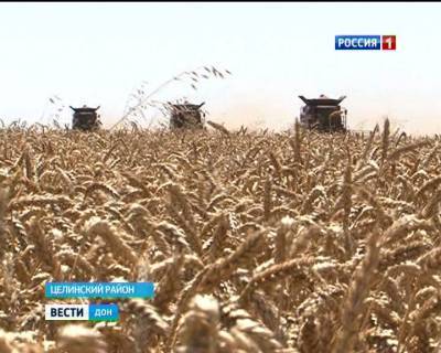 Урожай зерновых в Мясниковском районе Ростовской области превысил прошлогодние показатели