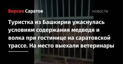 Туристка из Башкирии ужаснулась условиям содержания медведя и волка при гостинице на саратовской трассе. На место выехали ветеринары