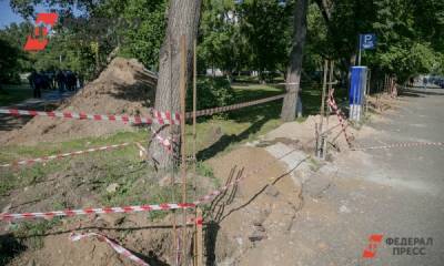 Общественность Оренбурга требует не вырубать деревья на улице Чкалова