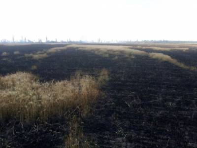 В Николаеве выгорело 9 гектаров территории из-за неосторожности граждан
