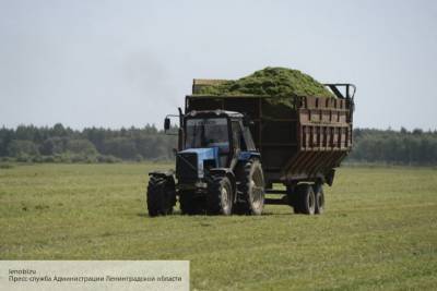 Нидерландский дипломат Брауэр: из-за России европейские фермеры понесут огромные убытки