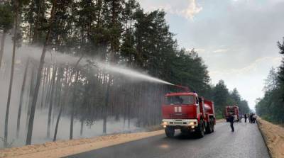 В Луганской области загорелся лес из-за обстрела боевиков