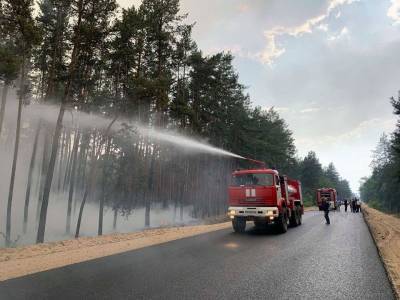 На Луганщине в результате обстрела загорелся лес