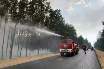В Луганской области из-за обстрелов загорелся лес