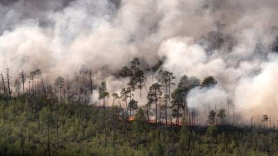 Лесной пожар угрожает крупному нефтехранилищу в Якутии