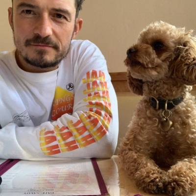 Орландо Блум сделал татуировку в честь своего погибшего пса