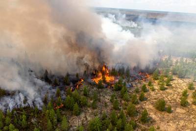 Мишустин подписал документ о выделении 2,6 миллиарда рублей на борьбу с пожарами