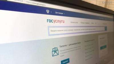 Публицист Никонов рассказал, как сайт «Госуслуги» решит проблему харассмента