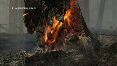 Стало известно, во сколько обошлось бюджету Башкирии тушение лесных пожаров