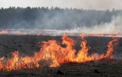 Пожар в Луганской области: угрозы населенным пунктам нет