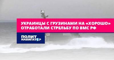 Украинцы с грузинами на «хорошо» отработали стрельбу по ВМС РФ