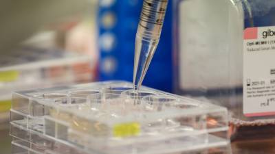 В ВОЗ дали прогноз по срокам вакцинации от коронавируса