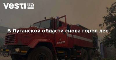 В Луганской области снова горел лес