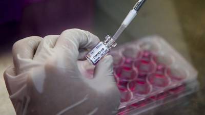В ВОЗ назвали сроки начала вакцинации от коронавируса