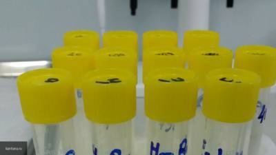 Американские ученые создали смесь антител для эффективной борьбы с коронавирусом