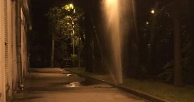Фото: в Петербурге из-под земли забил фонтан воды