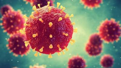 Группа ученых создала смесь антител против коронавируса