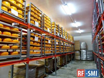 Подмосковье может стать лидером в России по производству сыра