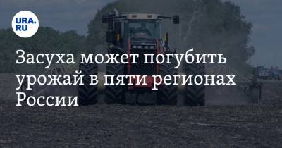 Засуха может погубить урожай в пяти регионах России