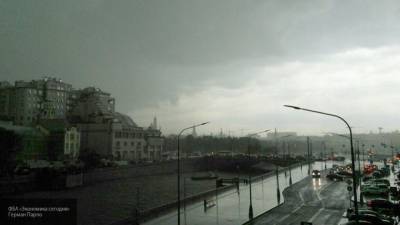 Вильфанд назвал текущее лето в Москве самым дождливым в истории