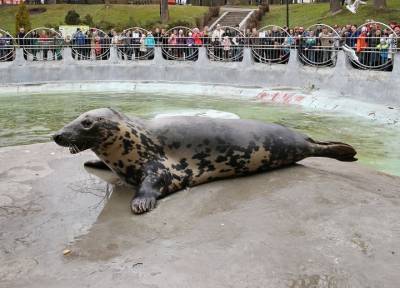Виновато лекарство: в Калининградском зоопарке за одну ночь погибли 4 животных