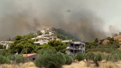 Новости на "России 24". В Греции лесные пожары подбираются к Афинам