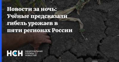 Новости за ночь: Учёные предсказали гибель урожаев в пяти регионах России