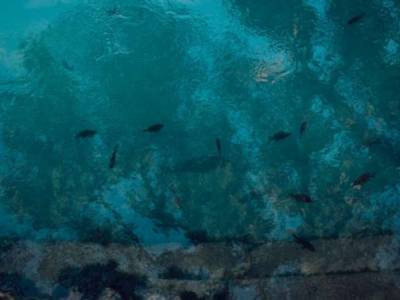 Ученые отправятся на поиски жизни в 130-метровой подводной дыре
