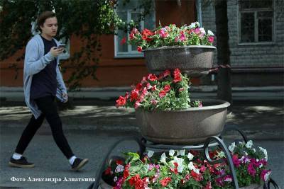 Курганец-флорист украл уличный цветочный вазон
