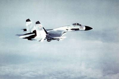 В США военные перекрасили истребители F-5 под российские Су-27