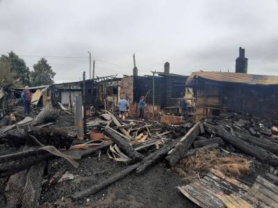 В Челябинской области после удара молнии сгорели частный дом и домашние животные