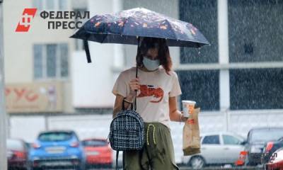 Москвичей предупредили о дожде в четверг