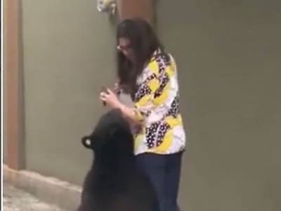 Забавный ролик из Сети: любвеобильный медведь трогал пятую точку девушки