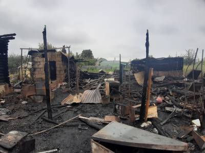 В Челябинской области после удара молнии сгорели домашние животные